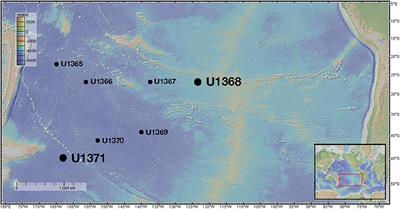 Redefining the Subsurface Biosphere: Characterization of Fungi Isolated From Energy-Limited Marine Deep Subsurface Sediment